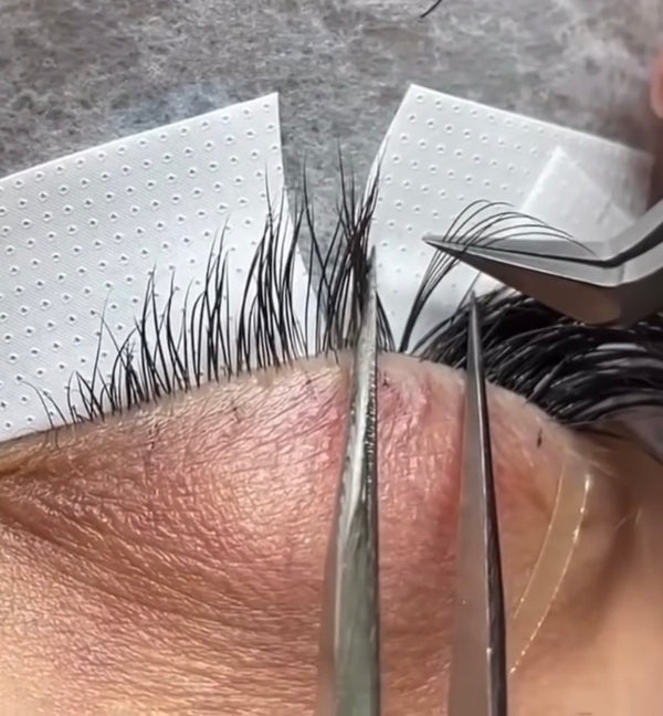 REBORN: HOW TO REVIVE YOUR NATURAL LASHES AFTER EXTENSIONS