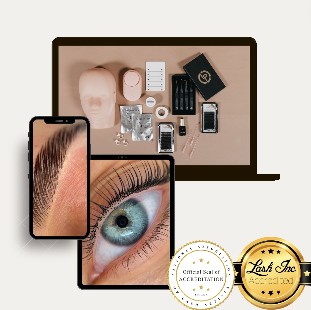 Learn It All - The Ultimate Brow and Lash Course