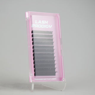 Lash Trays