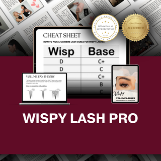 Wispy Lash Extension Pro Ebook