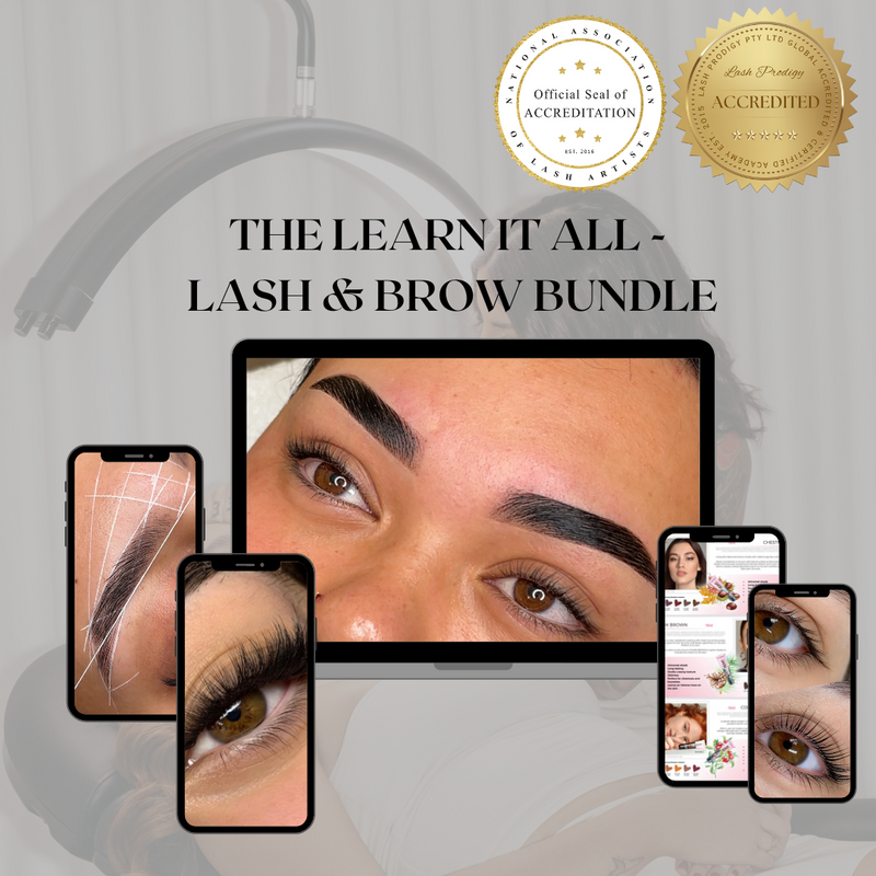 Learn It All - The Ultimate Brow and Lash Course