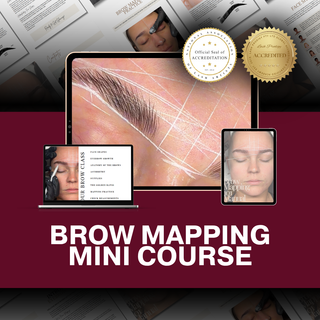 Brow Mapping Mini Course