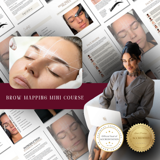 Brow Mapping Mini Course