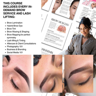 The Ultimate Brow & Lash Lifting Course