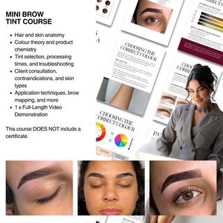 Mini Brow Tint Course