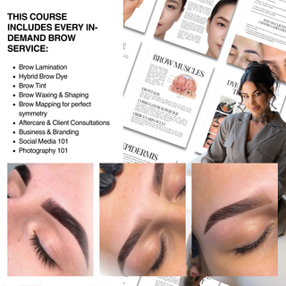 The Ultimate Brow Course