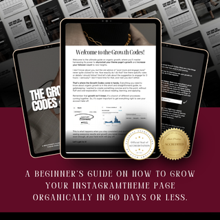 A Beginners Guide On How To Grow Your Instagram