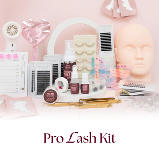 Learn It All - The Ultimate Lash & Brow Course