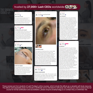 19 Lash, Brow & Business Ebooks Bundle