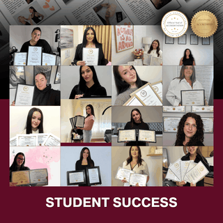 Wispy Lash Extension Pro Ebook