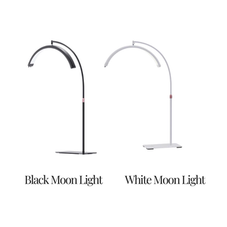 Learn It All - The Ultimate Lash & Brow Course