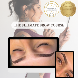 The Ultimate Brow Course