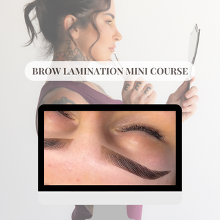 Brow Lamination Mini Course