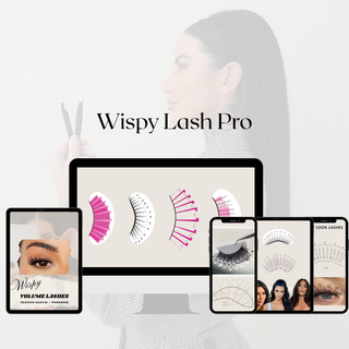 Wispy Volume Pro Ebook
