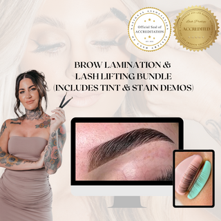Lash Lifting + Tinting, Brow Tinting / Stain (demos) & Brow Lamination Course