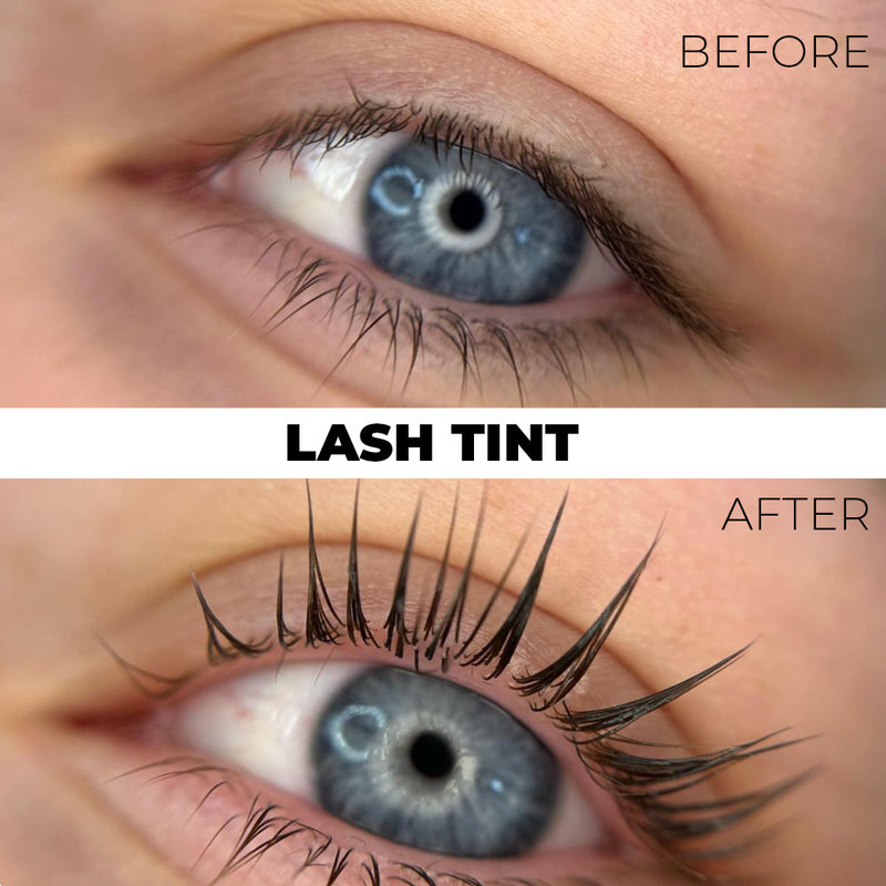 Brow & Lash Tint Complete Kit