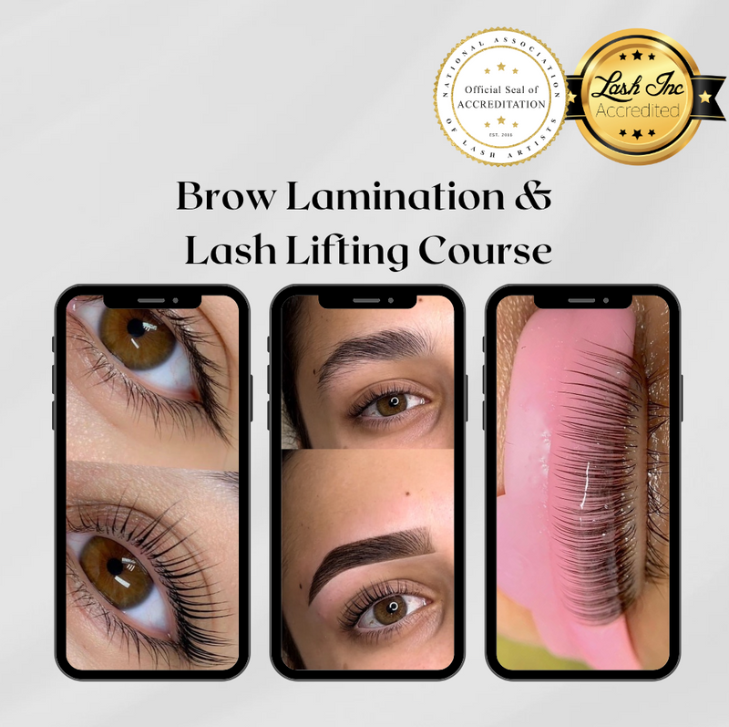 Lash Lifting + Tinting, Brow Tinting / Stain & Brow Lamination Course