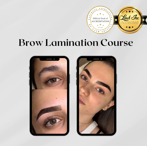 Brow Lamination Course