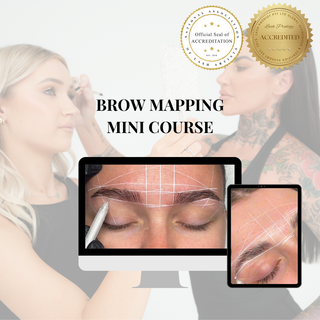Brow Mapping Mini Course