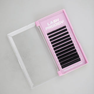 Lash Trays